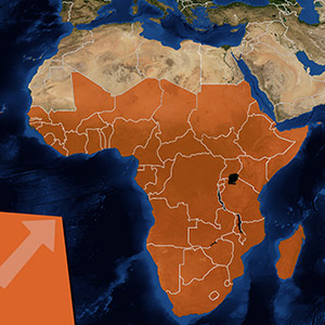 Emerging Markets in Africa
