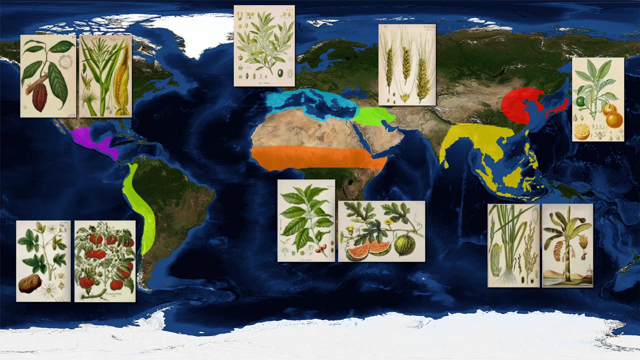 origin of food plants map
